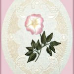 Hazel Blomkamp творчество из Австралии