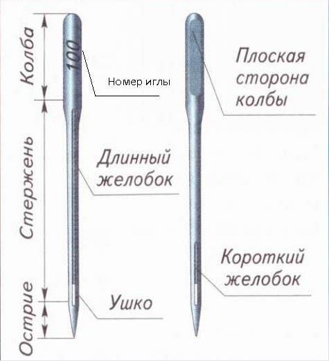 Анатомия Иглы