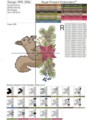 Белка с Пуансеттиями дизайн машинной вышивки - 3 размера