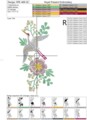 Дизайн машинной вышивки для горловины Журавль - 2 размера